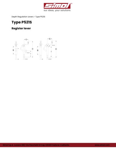 Type P521S