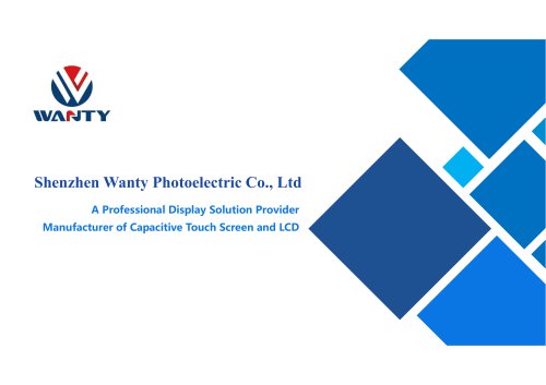 A Professional Display Solution Provider