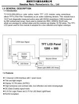 TFT LCD display module WTY101A08A01LM