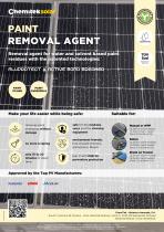 REMOVAL AGENT  PAINT