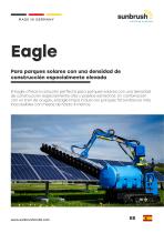 Eagle-1
