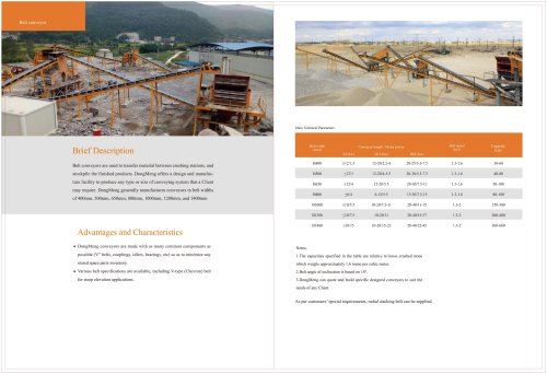DM Belt conveyor