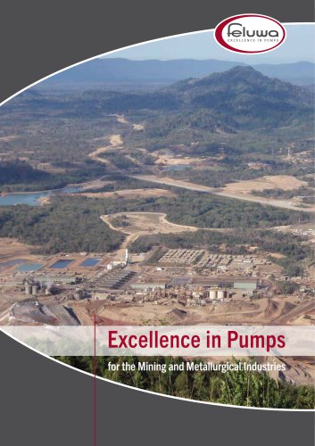 Excellence in Pumps for the Mining and Metallurgical Industries