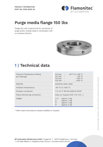 Purge media flange 150 lbs