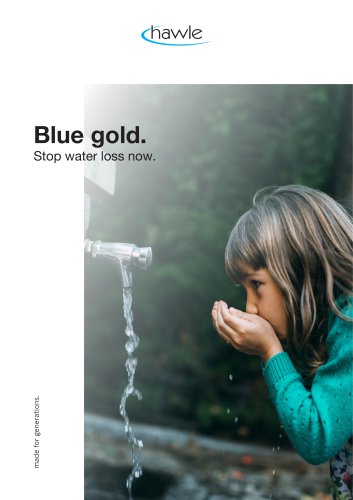 Blue gold. Stop water loss now