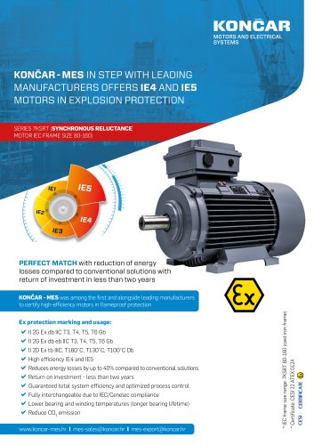MOTORS IN EXPLOSION PROTECTION