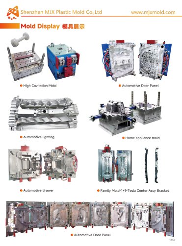 Custom Plastic Injection Mold for Consumer or Electronic