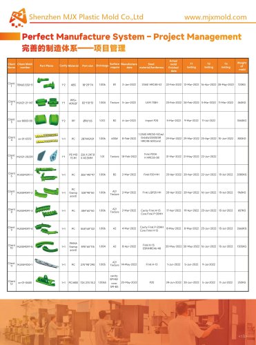 Custom Plastic Injection Mold for Multi-Cavity