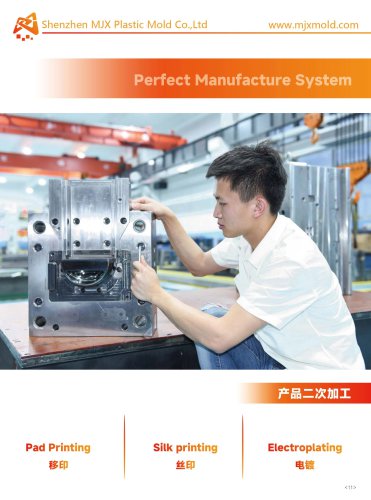 Plastic Injection Mold Assembly Center