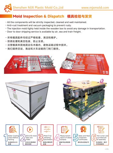 Plastic Injection Mould Inspection and Dispatch