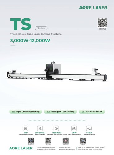 TS6020