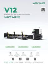 V12
