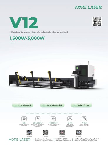 V12