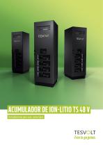 TS 48 V