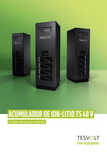 TS 48 V