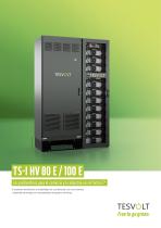 TS-I HV 80/100 E