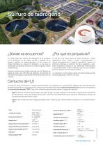 Cartucho de H2 S