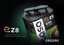 Industrial batteries for low consumption and extremely long life