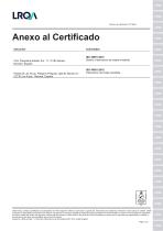 Replasa-ISO-45001-ES-2