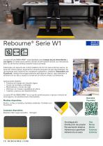 REBOURNE® Catalogue ES-13