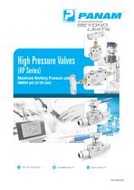 PANAM - High Pressure Valves 