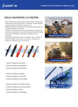 Cilindro hidráulico-2