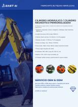 Cilindro hidráulico-3