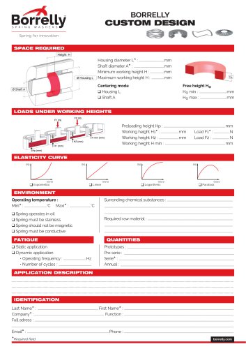 BORRELLY CUSTOM DESIGN