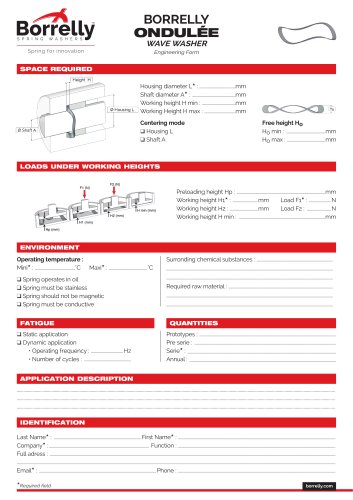 BORRELLY ONDULÉE WAVE WASHER Engineering Form