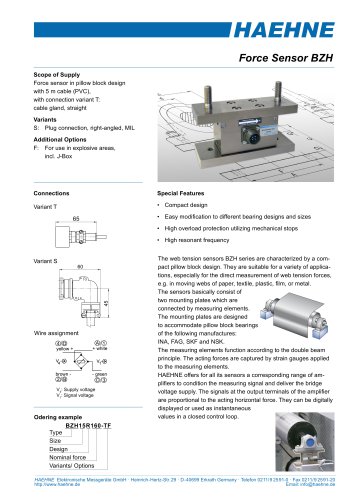 Pillow Block Sensors BZH