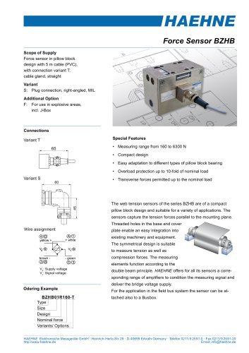 Pillow Block Sensors BZHB