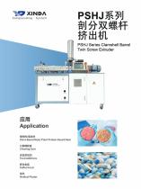 PSHJ-20 Twin screw extruder