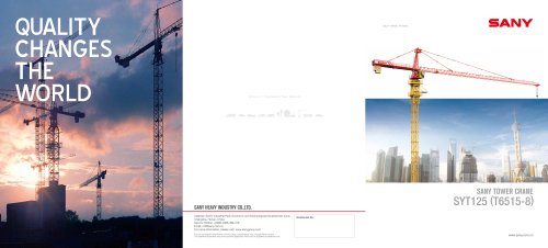 SANY TOWER CRANE SYT125 (T6515-8)