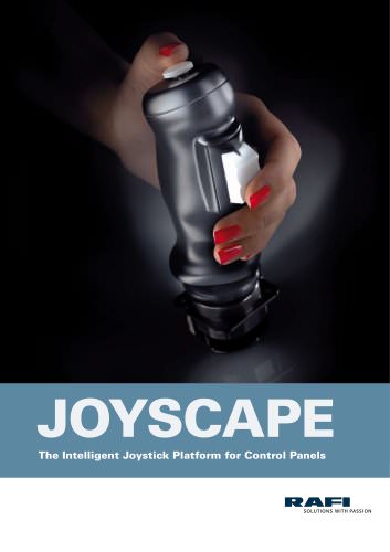 JOYSCAPE_2010