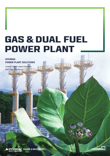 GAS & DUAL FUEL POWER PLANT