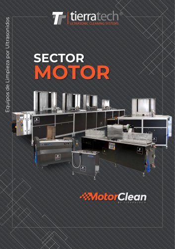 SECTOR MOTOR