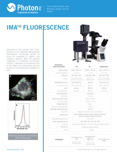 IMA FLUORESCENCE