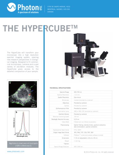 The Hypercube