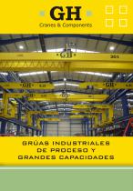 Grúas industriales y de proceso - 1