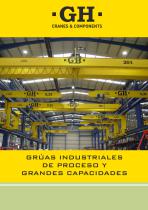GRÚAS INDUSTRIALES DE PROCESO Y GRANDES CAPACIDADES - 1