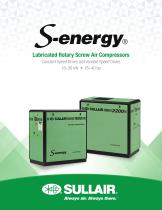 S-energy_2019