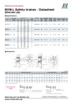 BXW Model datasheets