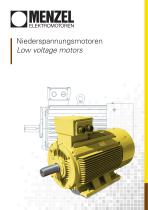 Low voltage motors