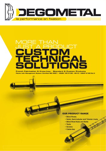 CUSTOM TECHNICAL SOLUTIONS