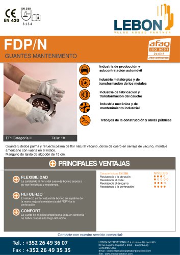 FDP/N