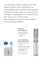NERA 2025 - 2