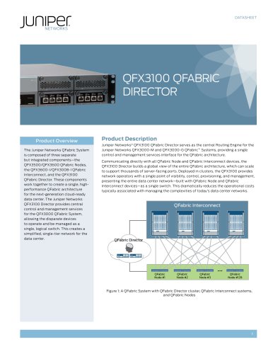 QFX3100 QFabric Director