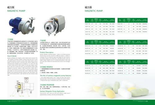 magnetic pump