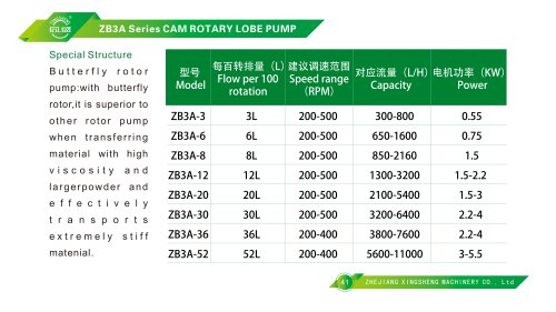 rotor pump 
