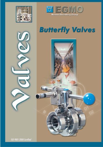 Butterfly valve